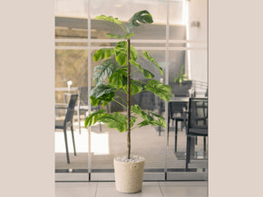 Plante artificielle Monstera Royale