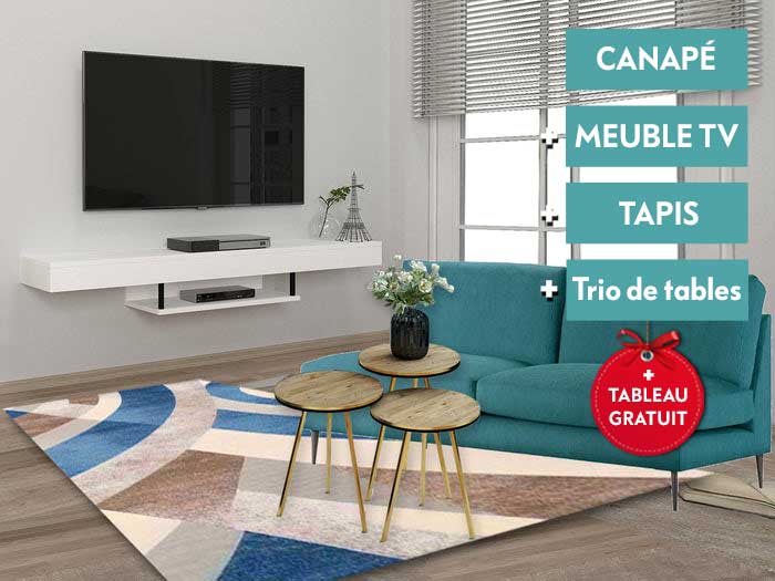 Salon complet RODEO