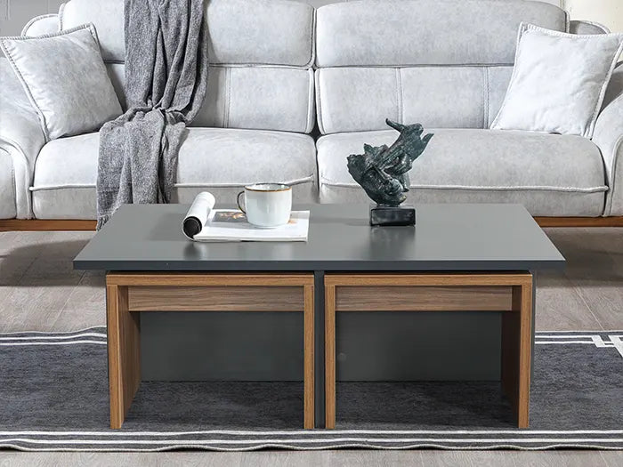 Table basse Chest Coffee - Noyer et Noir