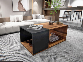 Table Basse 110 cm DUALIS