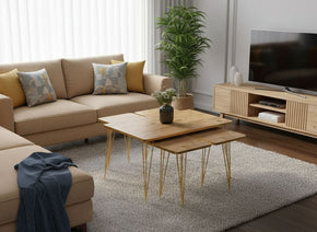 table_basse_bois_maroc