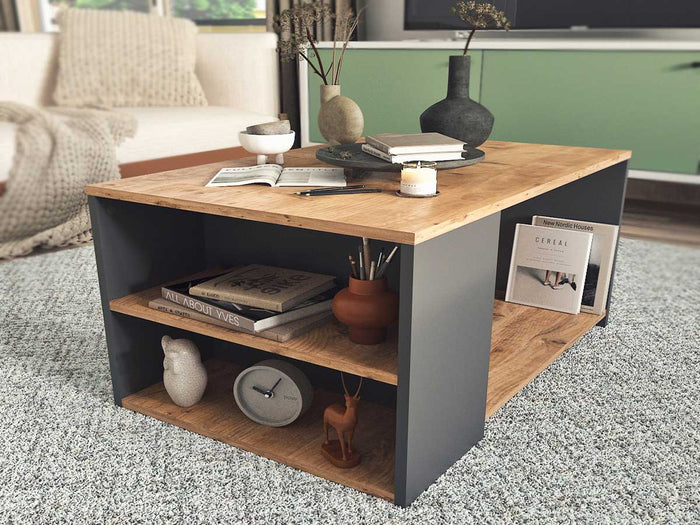 Table Basse avec rangement KAYA