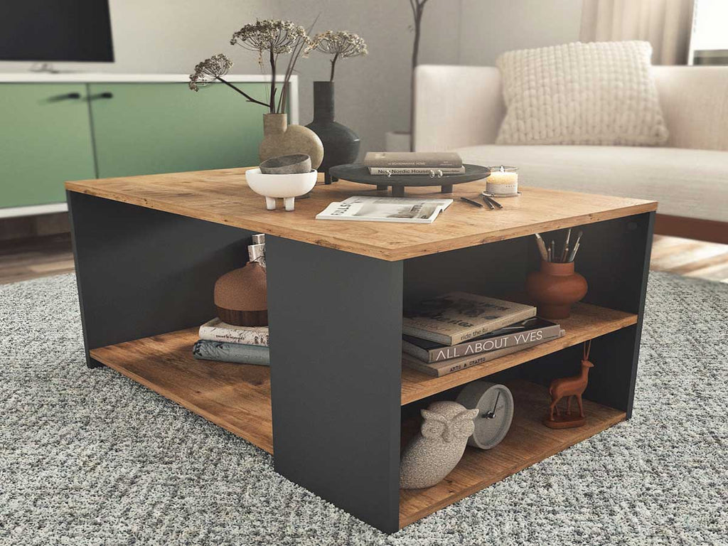 Table Basse avec rangement KAYA